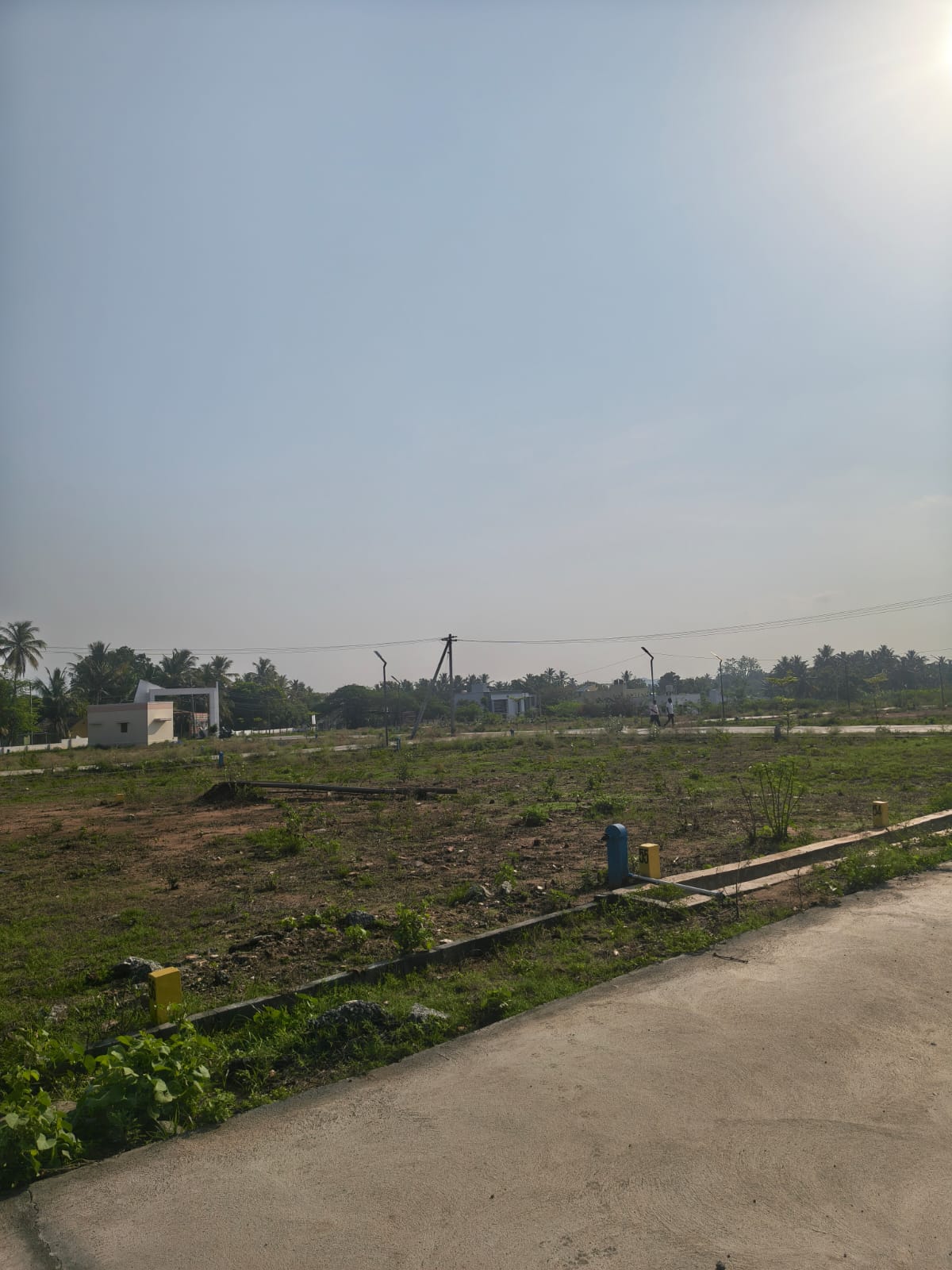Internal road and street lights