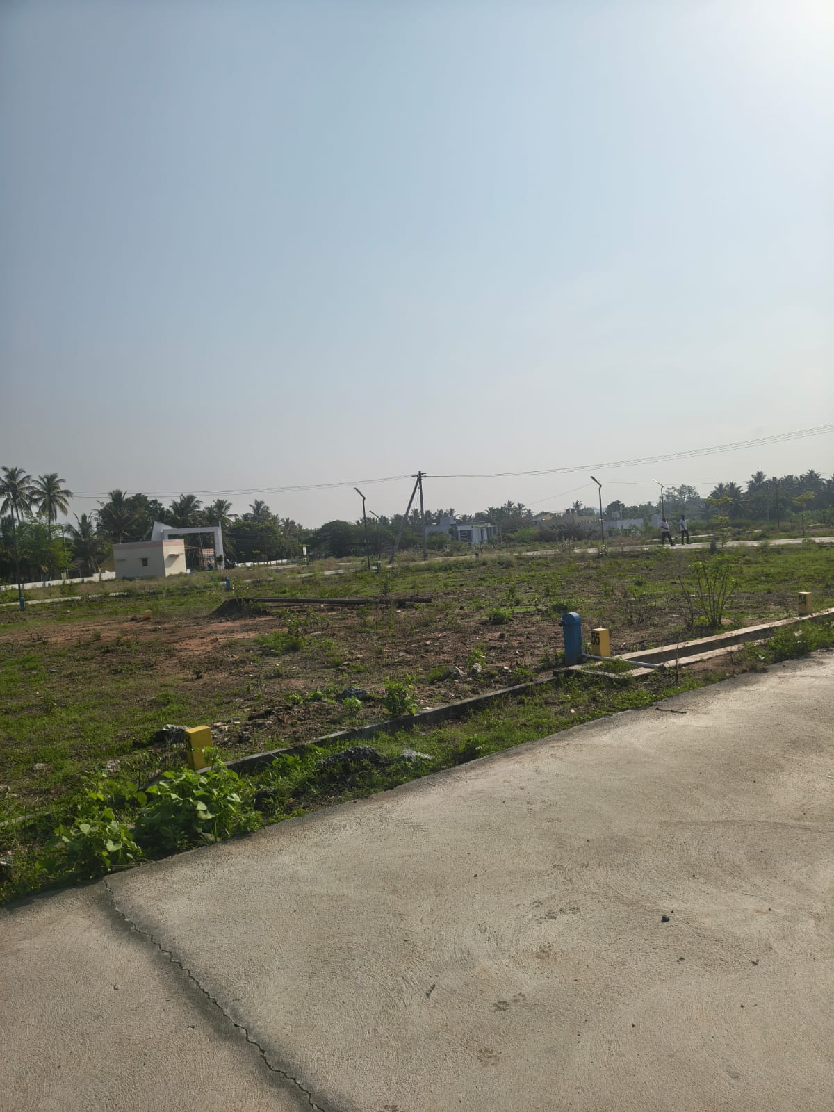 Internal road inside the plotted development