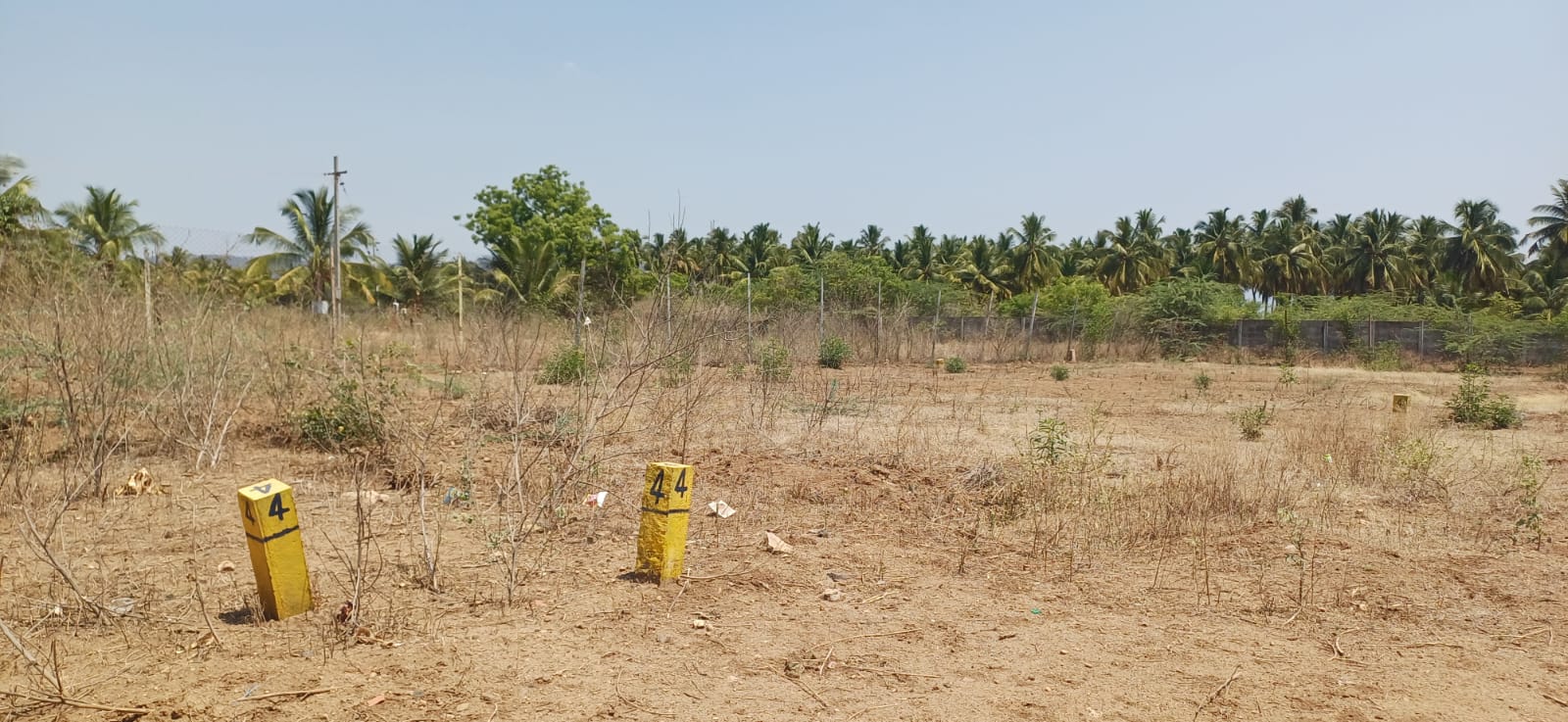 Wide plot view with surroundings