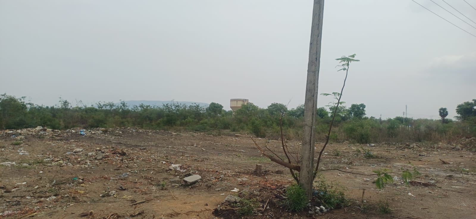 Developed road and plotted site