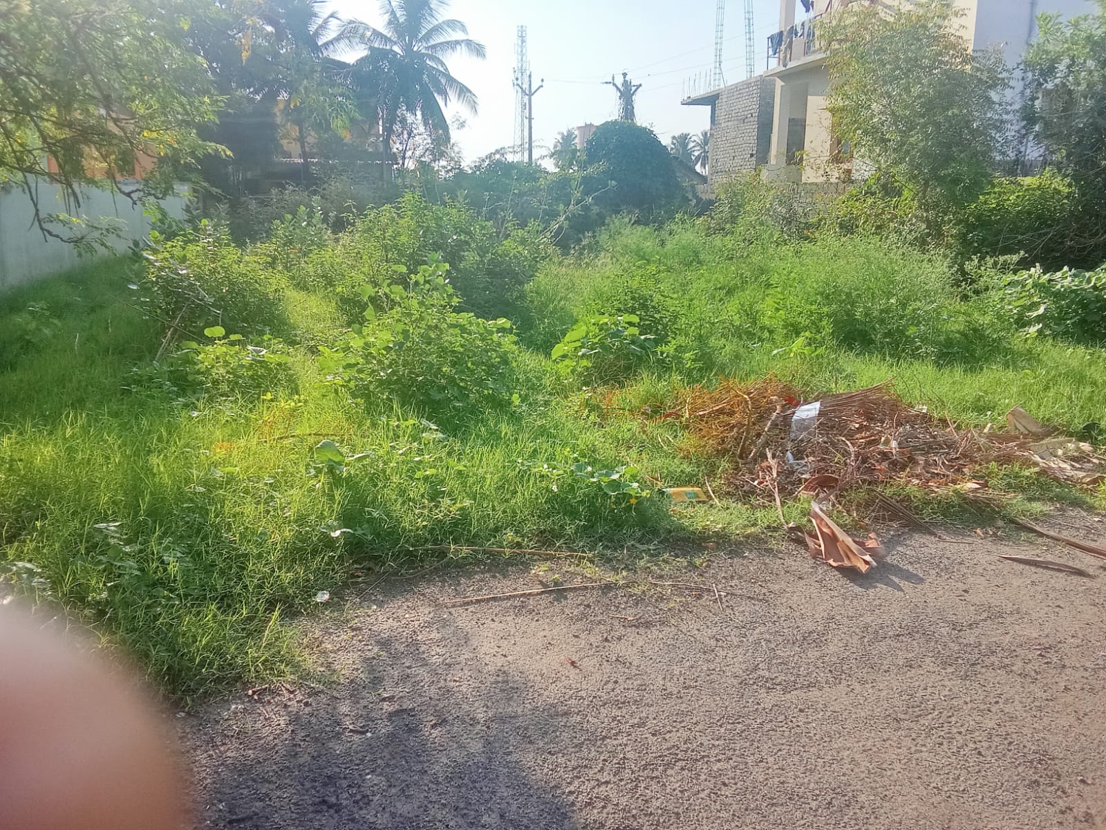 Road and plotted development entrance